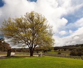 Tuck's Ridge - Kingaroy Accommodation 2