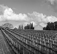 Willow Creek Vineyard - Kingaroy Accommodation