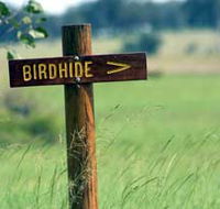 Wooroolin Wetland - Kingaroy Accommodation