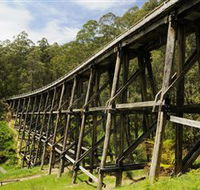 Noojee Trestle Bridge - Kingaroy Accommodation