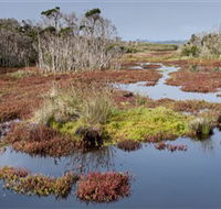 French Island National Park - Kingaroy Accommodation