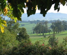 Brandy Creek Wines & View Cafe - Kingaroy Accommodation 5