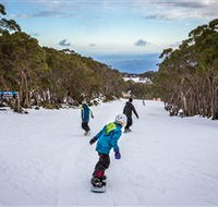 Mt Baw Baw Alpine Resort - Kingaroy Accommodation