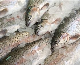 Arc-en-Ciel Trout Farm - Kingaroy Accommodation 3