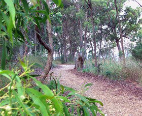 Mount Mutton Walking Trail - Kingaroy Accommodation 0