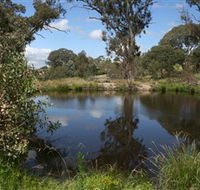 Cooleman Ridge - Kingaroy Accommodation