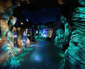 SEA LIFE Sydney Aquarium - Kingaroy Accommodation 3