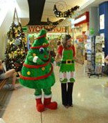  Kingaroy Accommodation