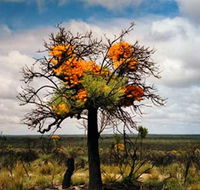The Delmar Gallery - Kingaroy Accommodation