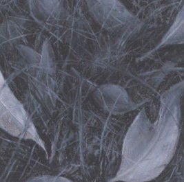 Gallery 110 Crystal - Kingaroy Accommodation 1