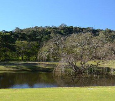 Antill Park Country Golf Club - Kingaroy Accommodation 1