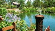 Gone Walkabout Safaris - Kingaroy Accommodation 0