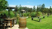Gone Walkabout Safaris - Kingaroy Accommodation 2
