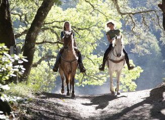 Hunter Valley Horse Riding And Adventures - Kingaroy Accommodation 1