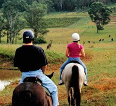 Hunter Valley Horse Riding And Adventures - Kingaroy Accommodation 3