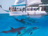 Imagine Cruises - Kingaroy Accommodation 2