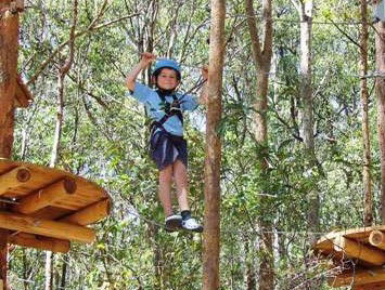 TreeTops Newcastle - Kingaroy Accommodation 0
