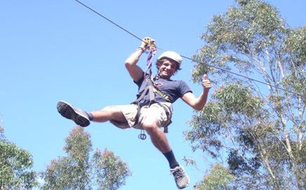 TreeTops Newcastle - Kingaroy Accommodation 1