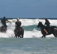 Pegasus Park Equestrian Centre - Kingaroy Accommodation