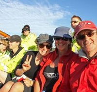 Byron Bay Whale Watching - Kingaroy Accommodation