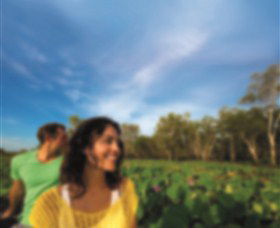 AAT Kings Guided Tours (Top End) - Kingaroy Accommodation 3