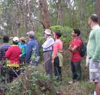 Boronia Tours - Kingaroy Accommodation