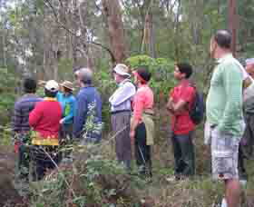Boronia Tours - Kingaroy Accommodation 0