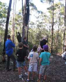Boronia Tours - Kingaroy Accommodation 1