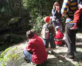 Boronia Tours - Kingaroy Accommodation 2