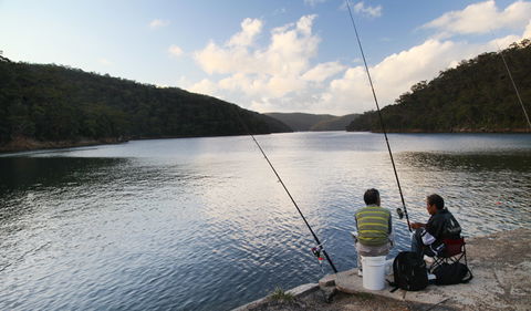 D'Albora Marinas At Akuna Bay - Kingaroy Accommodation 3