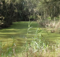 Second Ponds Creek walk - Kingaroy Accommodation
