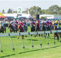 Morphettville Racecourse - Kingaroy Accommodation