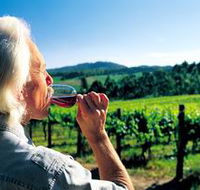 Ashton Hills Vineyard - Kingaroy Accommodation