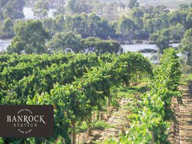 Banrock Station Wine And Wetland Centre - Kingaroy Accommodation 0