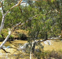 Quilberry Creek Fishing - Kingaroy Accommodation