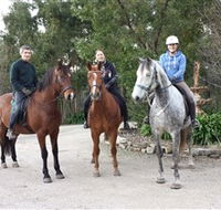Academy of Dressage - Kingaroy Accommodation