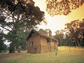Heysen - The Cedars - Kingaroy Accommodation 0