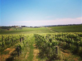 Adelaide Winemakers - Kingaroy Accommodation 0