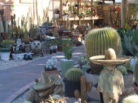 Cactus Creations - Kingaroy Accommodation 0