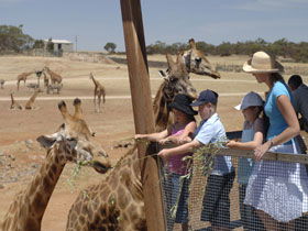 Monarto South SA Kingaroy Accommodation