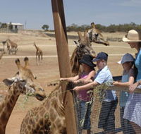 Monarto Open Range Zoo - Kingaroy Accommodation