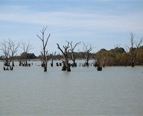 Lake Victoria - Kingaroy Accommodation 3