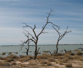 Lake Victoria - Kingaroy Accommodation 6