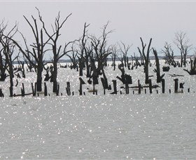 Lake Victoria - Kingaroy Accommodation 5