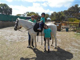 Animal Farm Goolwa - Kingaroy Accommodation 2
