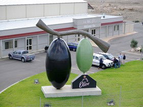 The Big Olive - Kingaroy Accommodation 0