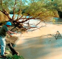 Charleville - Ward River Fishing Spot - Kingaroy Accommodation