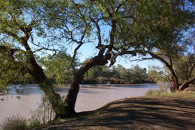 Charleville - Bakers Bend Warrego River Fishing Spot - Kingaroy Accommodation 1
