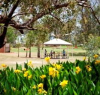 Charleville - Graham Andrews Parklands - Kingaroy Accommodation