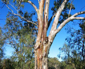 ODonnell Park At Curlwaa - Kingaroy Accommodation 2